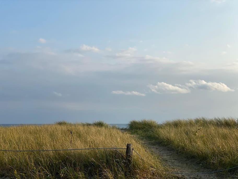 Beautiful Walk Out Basement Apartment In Pickering Near Beach Buitenkant foto